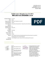 Rabbit Anti-Phospho-Lyn (Tyr397) Lyn抗体: Datasheet