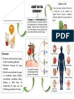 Infografía Dengue