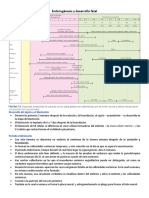 Embriogénesis y Desarrollo Fetal