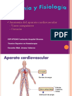 Powerpoint Clase 5 - Anatomía Del Aparato Cardiovascular