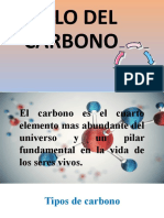 Ciclo Del Carbono