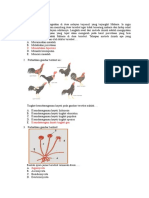 Soal Ass Biologi