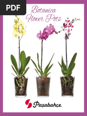 2018 Botanica Flower Pots