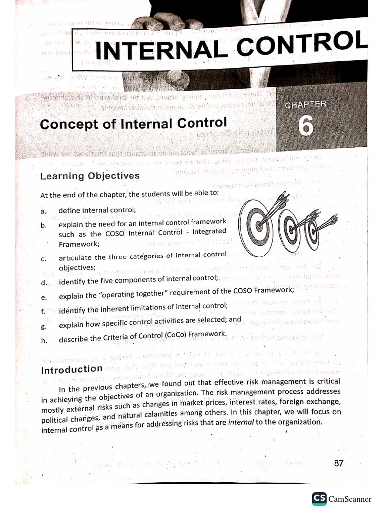 Chapter 6 Internal Control | PDF