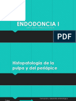 Histopatologia 5 To