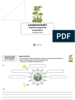 8 I Arbeitsblaetter - Schueler