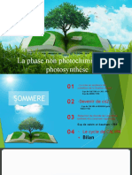 Green Grass Open Book PowerPoint Templates