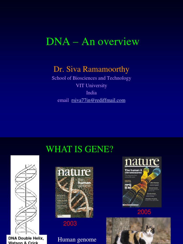 DNA Replication Mechanism Insights | PDF | Science & Mathematics