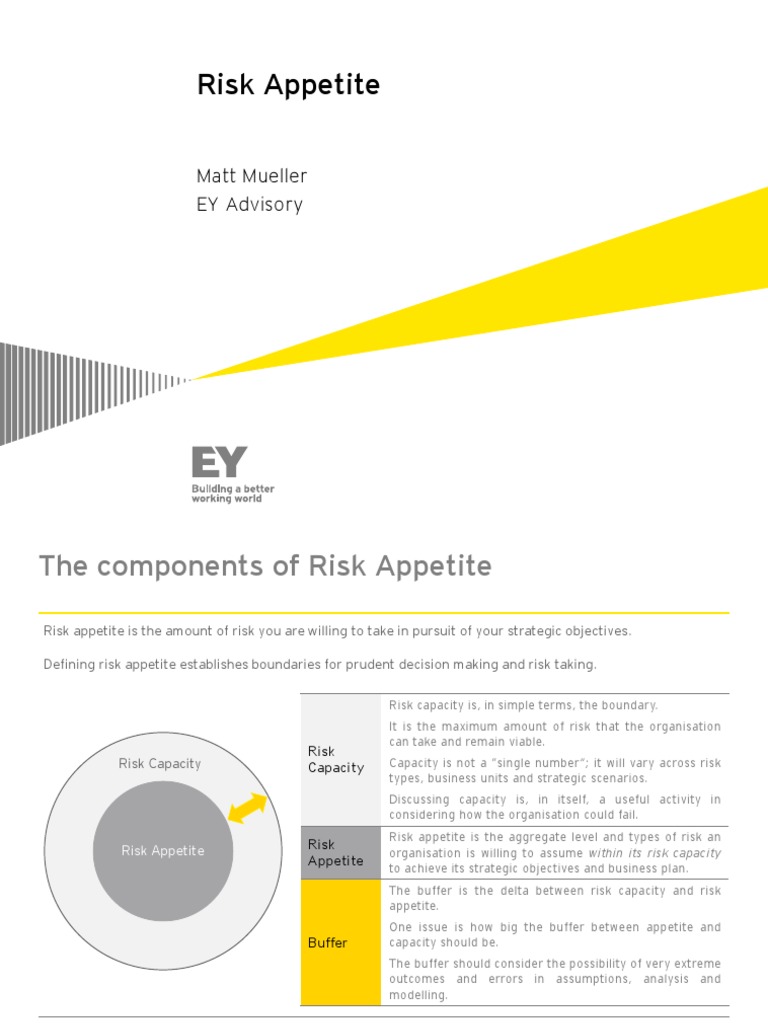 Risk appetite overview iia presentation pdf risk governance