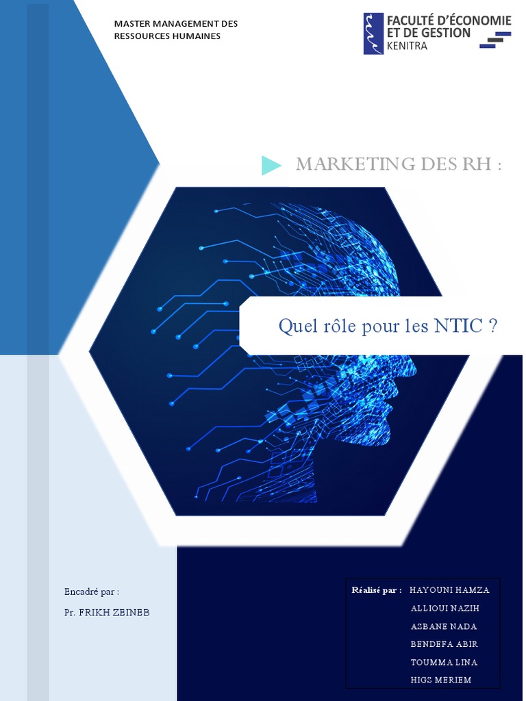 Quel Le Rôle Pour Les NTIC ? | PDF
