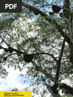 Download Nutrition and health benefit of Apis dorsata and Trigona spp - Madhu Duniya 2011 by Widhi Bek SN65156325 doc pdf