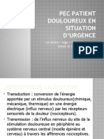 Pec Patient Douuloureux en Situation D'urgence