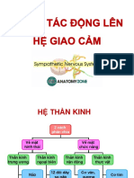 CHƯƠNG 10.1. THUỐC TÁC ĐỘNG LÊN HỆ GIAO CẢM