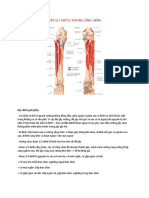 GÃY 13 Dưới Xương Cẳng Chân