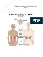 Endocrinologie