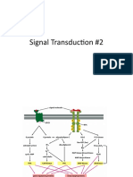 Signal Transduction Lecture 2