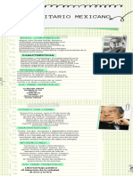 Infografía de Proceso Recortes de Papel Notas Verde