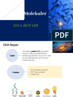 DNA Repair