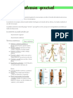 Generalidades Anatomía-Articulaciones - Huesos
