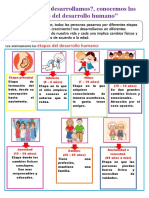 Miercoles 07 de Junio Ficha Etapas Del Desarrollo Humano