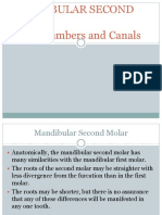 Mandibular Second Molar