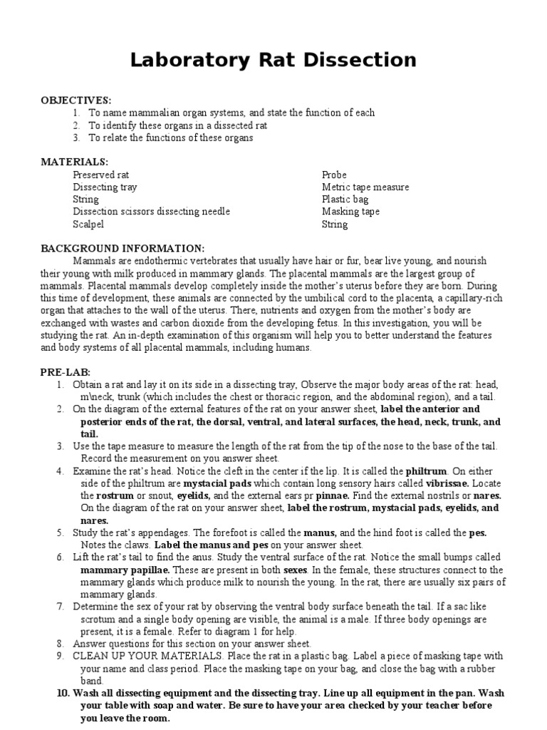 Rat dissection lab report example image