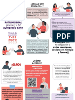 Triptico Declaracion Patrimonial 2023