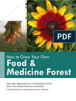 Ozark Akerz - Grow Your Own Food & Medicine Forest 2023 Update