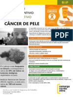 BIP PREVENÇÃO DO CÂNCER DE PELE - Dezembro - Rev