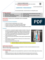 QDECIMO 6 Lab Cromatografía