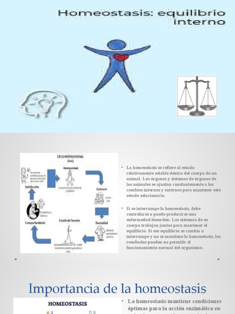 Homeostasis CON IMAGENES | PDF | Homeostasis | Agua