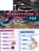 Excretor Animal