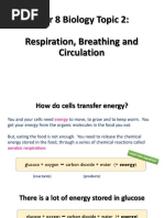 1 Respiration Summary Slides