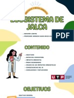 Ecosistema de Jalca