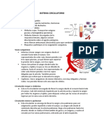 Sistema Circulatorio