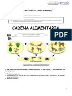 Guia Cadena Alimentaria 02 de Junio 4to Básico