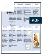 Cuadro Comparativo de Los Lipidos