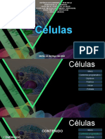 Clase de Celulas