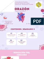 El Torax Corazon Seminario 5