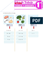 Los Alimentos para Primer Grado de Primaria