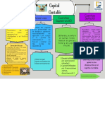 Cuadro Sinóptico Tipos de Capital