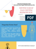 Anatomi Dan Fisiologi