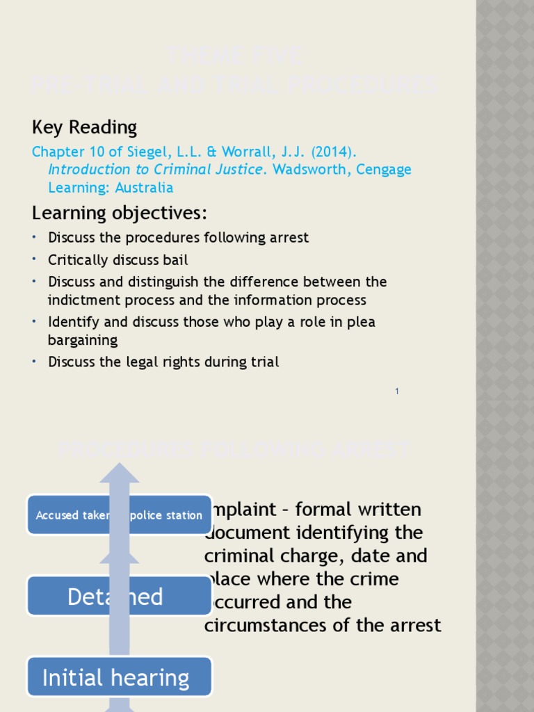 Theme 4 PowerPoint Presentation | PDF | Plea | Plea Bargain