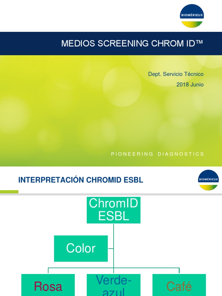 Guía Interpretación Agares Chrom Id - Jul 2018 | PDF | Organismos ...