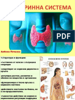 Khormonalna Regulatsiya