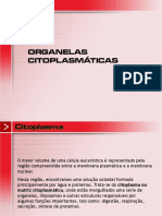 ORGANELAS CITOPLASMÁTICAS-1