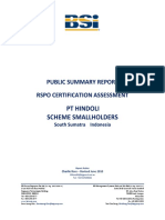 Hindoli Smallholders Public Summary Report 290610