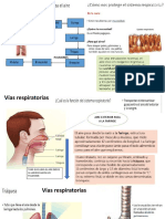 Sistema Respiratorio 5t Estudio