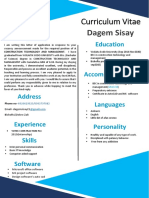 Curriculum Vitae: Dagem Sisay