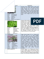 Laporan Tentang Klasifikasi Tanaman